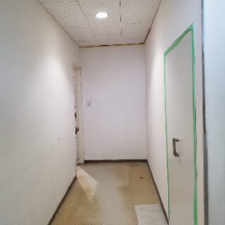バックヤードの壁汚れの塗装